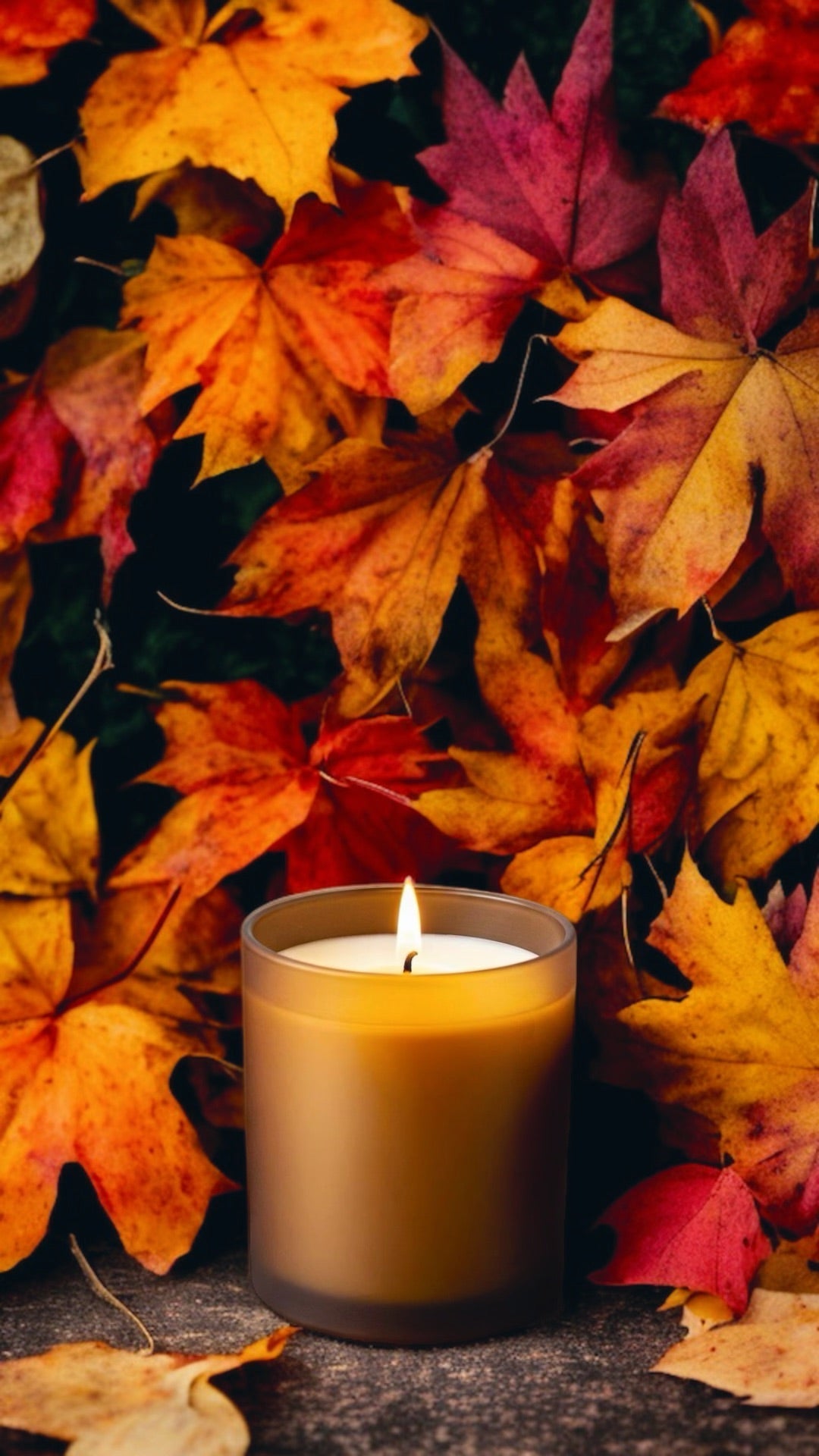 4oz Fall Candles - 4 Scents!